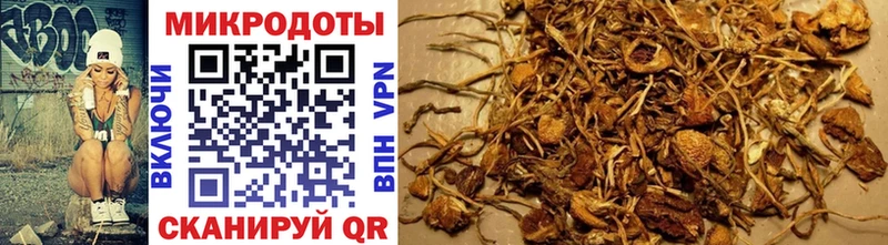 Псилоцибиновые грибы прущие грибы  как найти наркотики  Андреаполь 